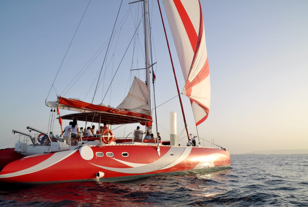 Catamaran Sailing boat